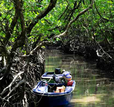 images for baratang island andaman